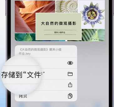 德化apple维修中心分享iPhone文件应用中存储和找到下载文件