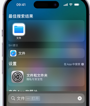 德化apple维修中心分享iPhone文件应用中存储和找到下载文件 