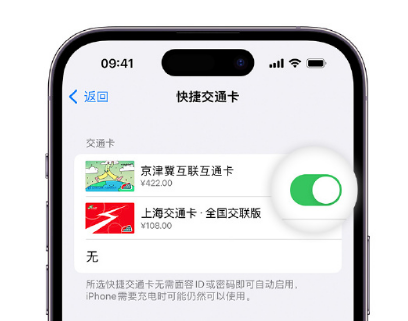 德化apple维修点分享iPhone上更换Apple Pay快捷交通卡手绘卡面 