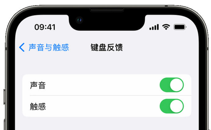 德化苹果手机维修分享iPhone 14触感键盘使用方法 