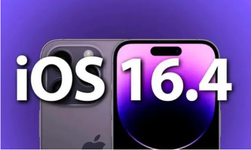 德化苹果14维修分享：iPhone14可以升级iOS16.4beta2吗？ 