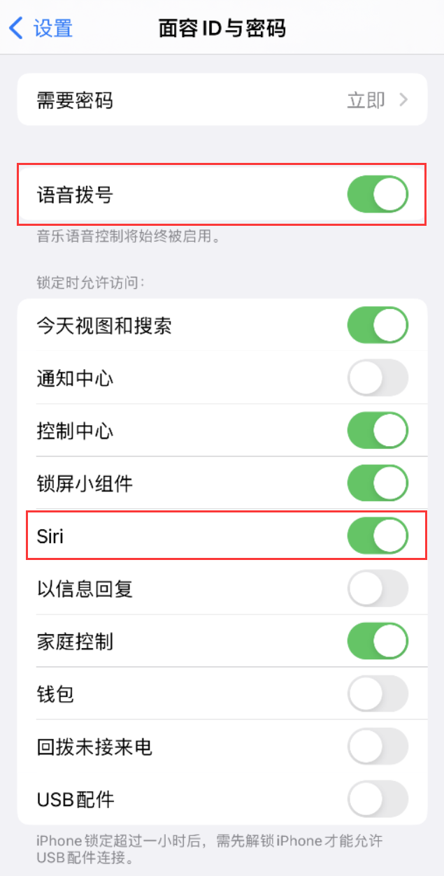 德化苹果维修网点分享不解锁 iPhone 的情况下通过 Siri 拨打电话的方法 