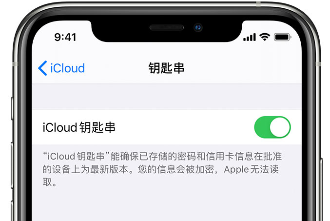 德化苹果手机维修分享在 iPhone 上开启 iCloud 钥匙串之后会储存哪些信息 