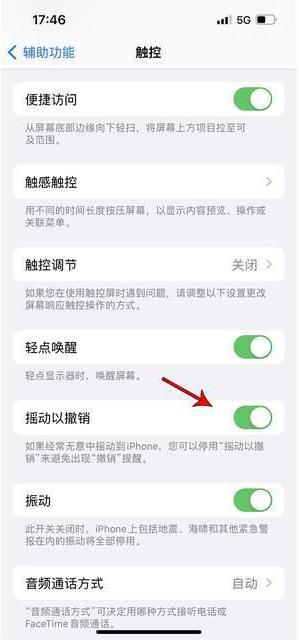 德化苹果手机维修分享iPhone手机如何设置摇一摇删除文字 