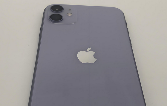 德化苹果11系统维修分享iPhone11手机系统崩溃无法开机如何解决 